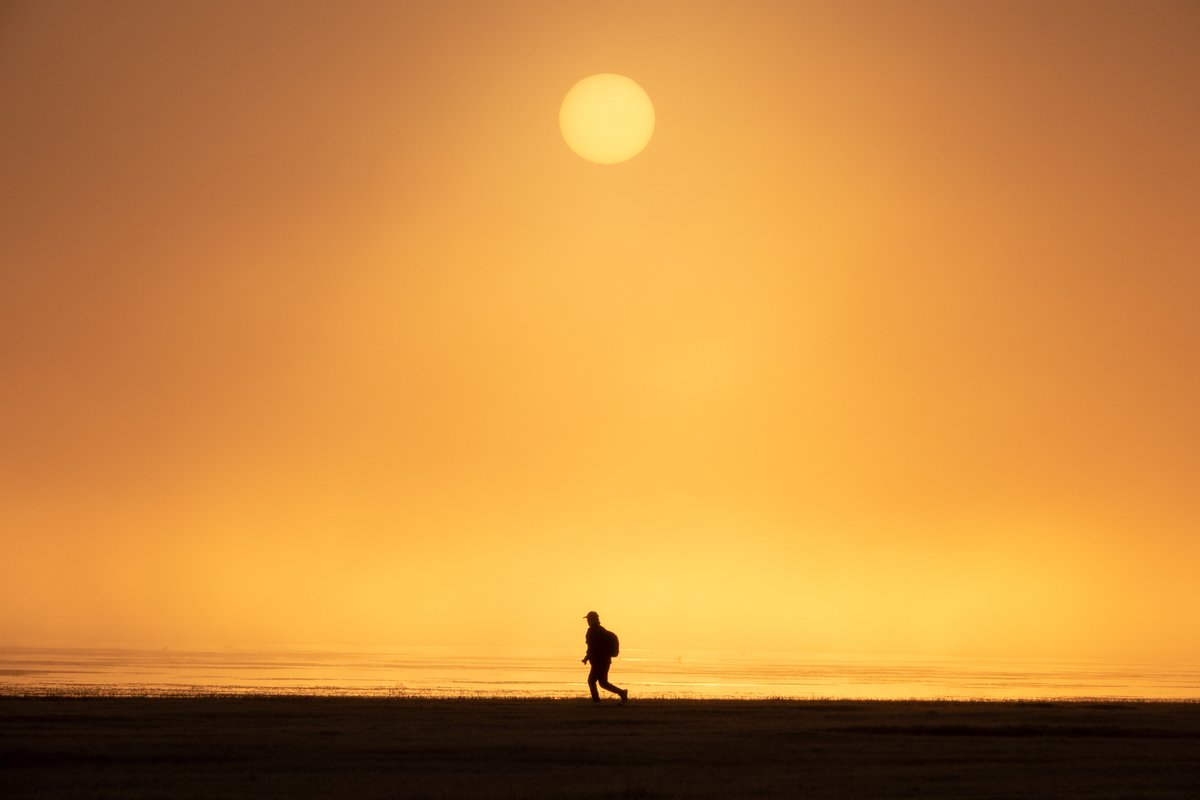 Daniel Vardos tweet media