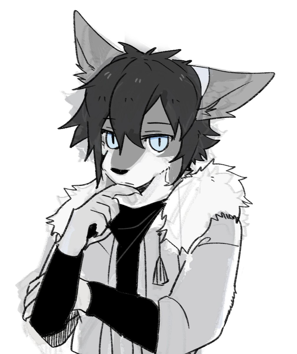 달늑대🐾 tweet media