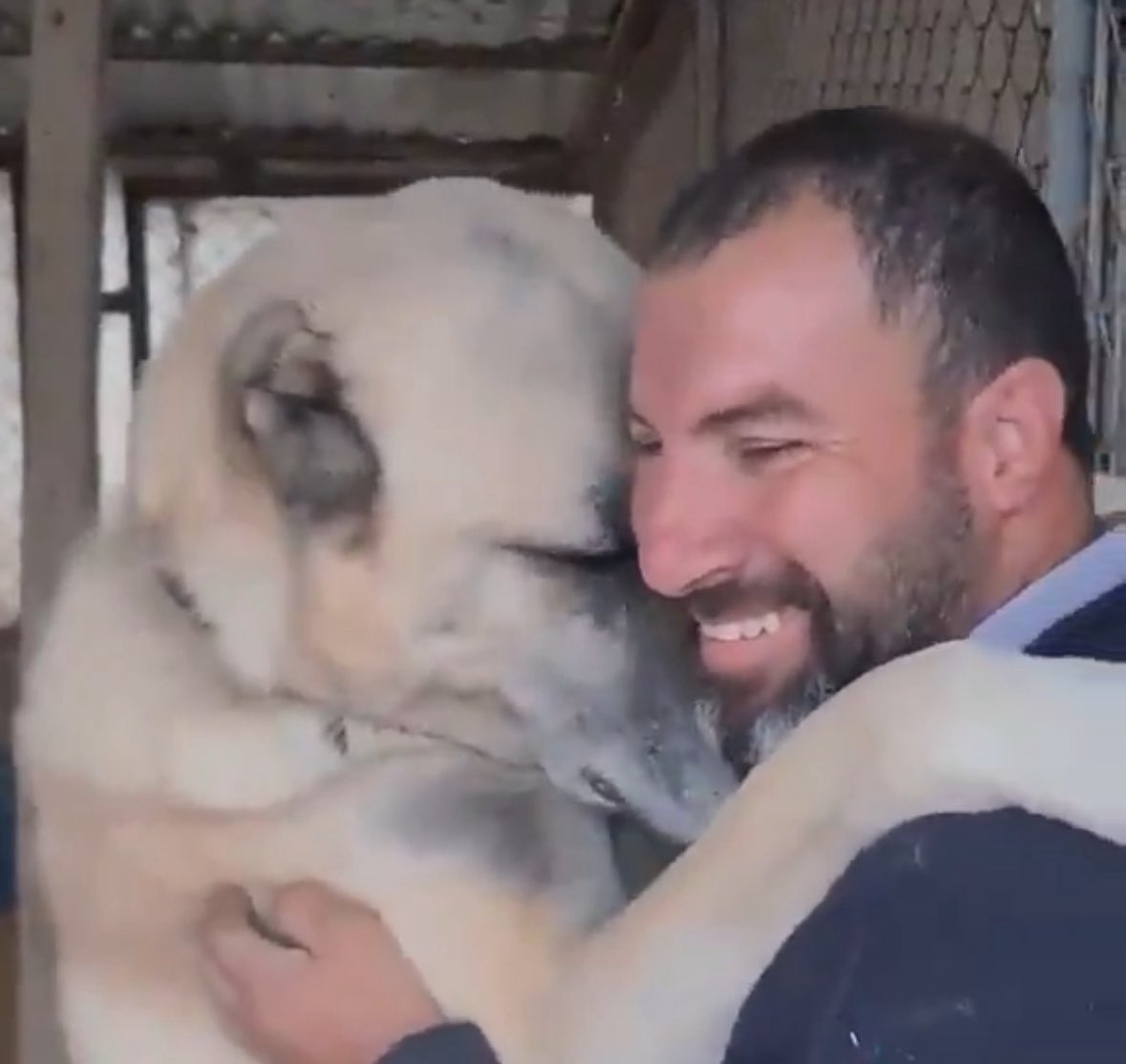 encin dostilerle sabah taglesmesi midir 

Seven voices, one story. ENHYPEN will always be 7.

#ENHYPEN_ALWAYS_7
#HEESEUNG_Belongs_With_ENHYPEN
#BOYCOTT_HYBE_and_BELIFT