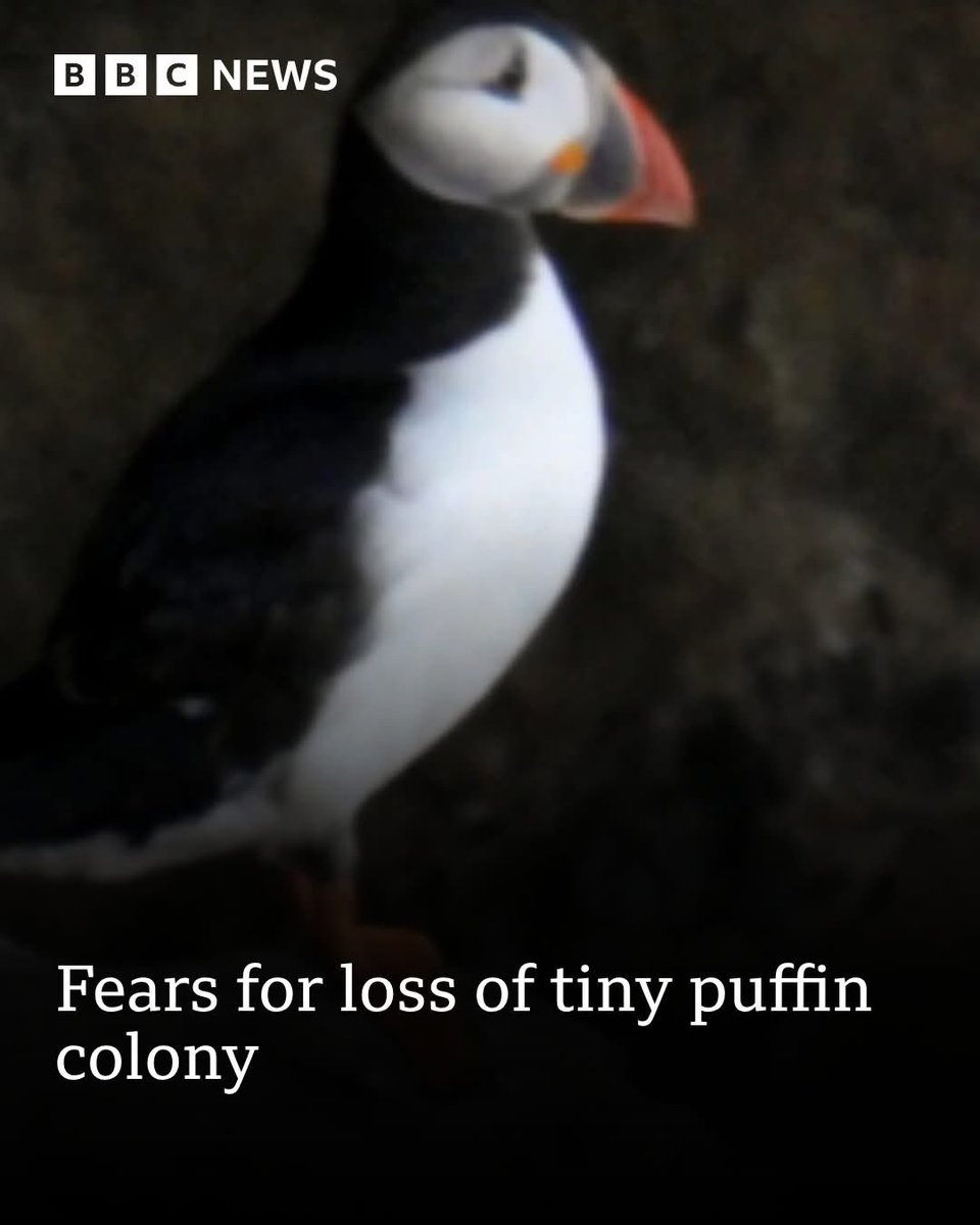 dominic dyer tweet media