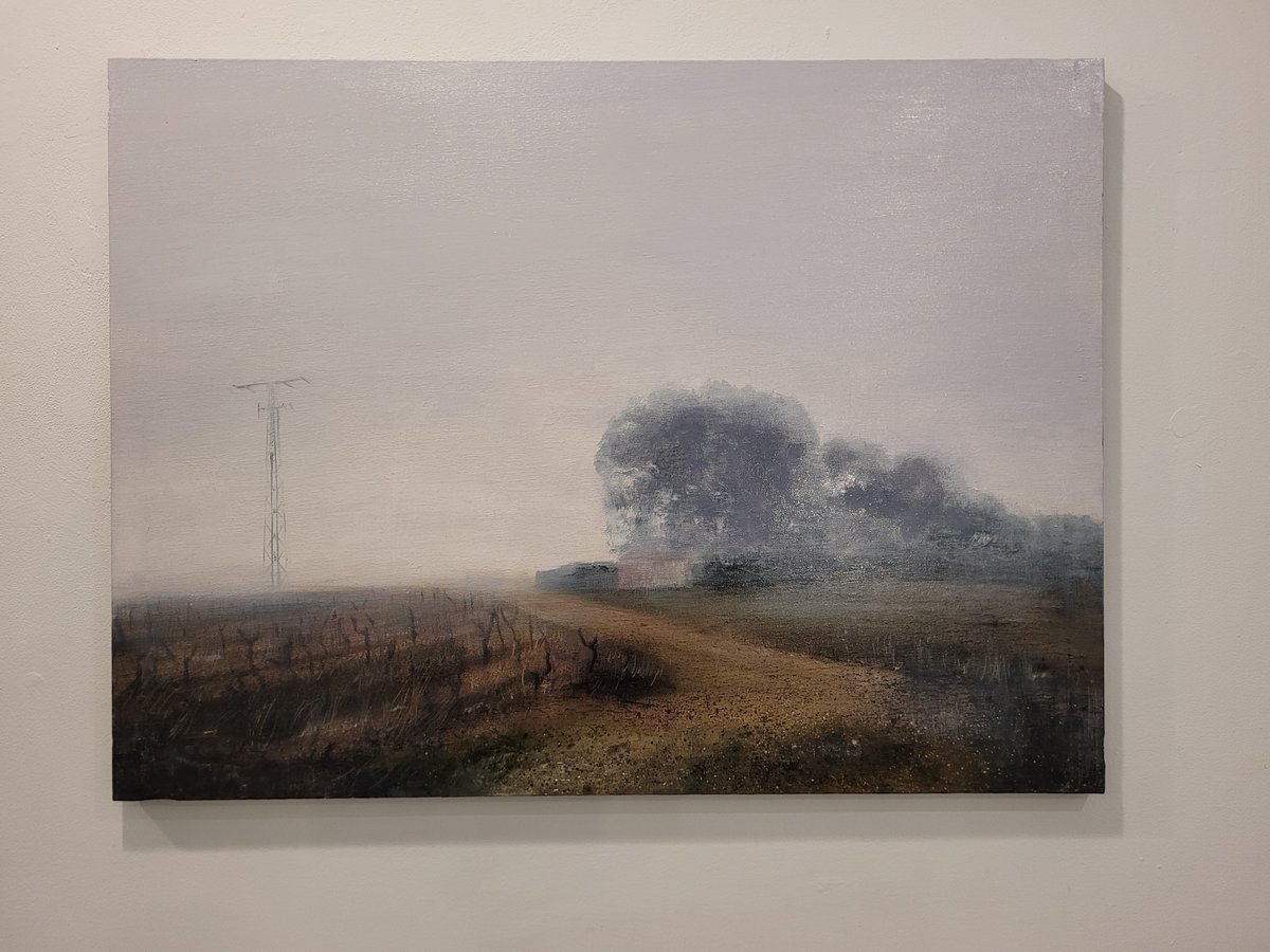 CuriosidadNatural tweet media