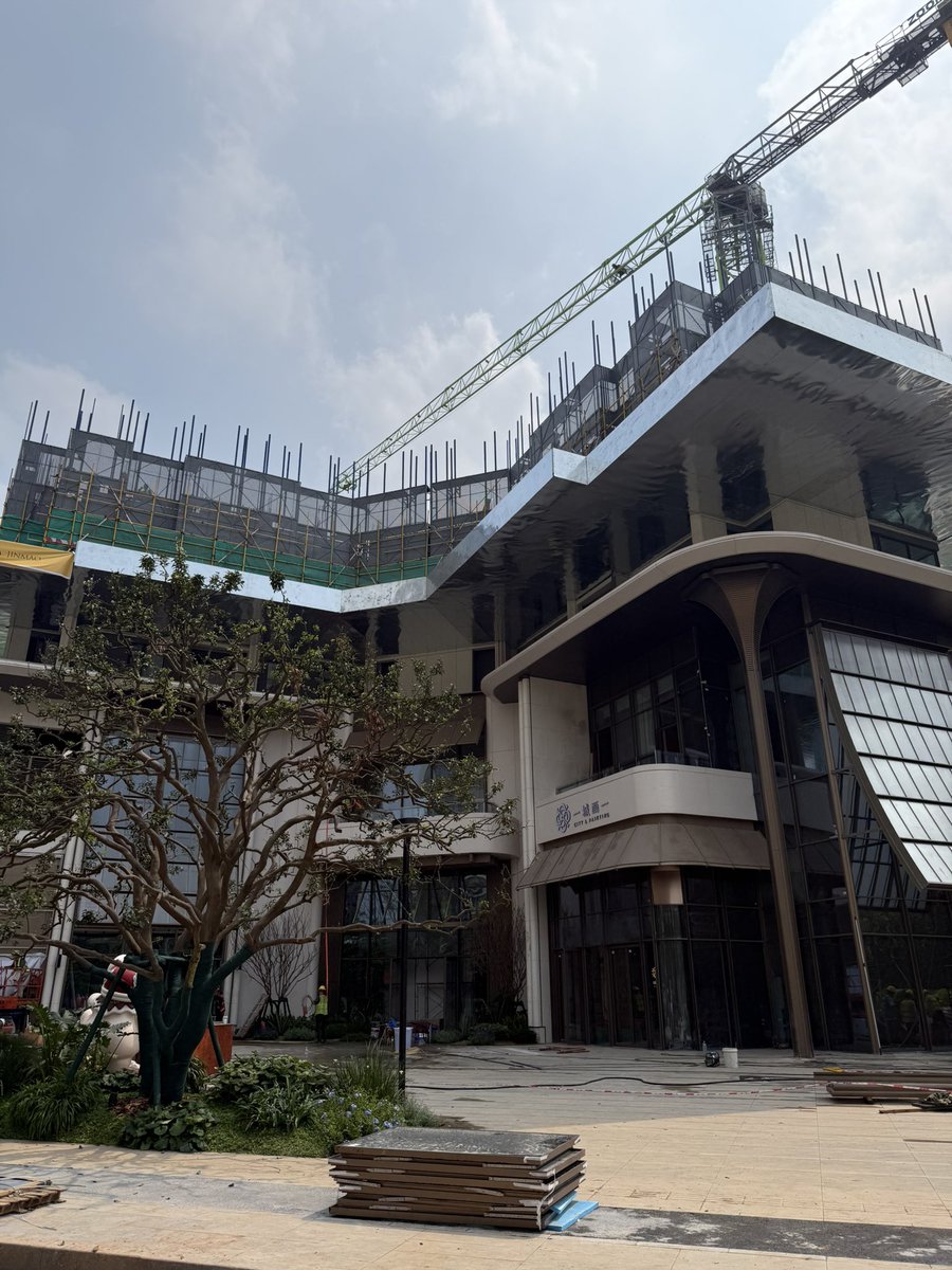 British Miss tweet media