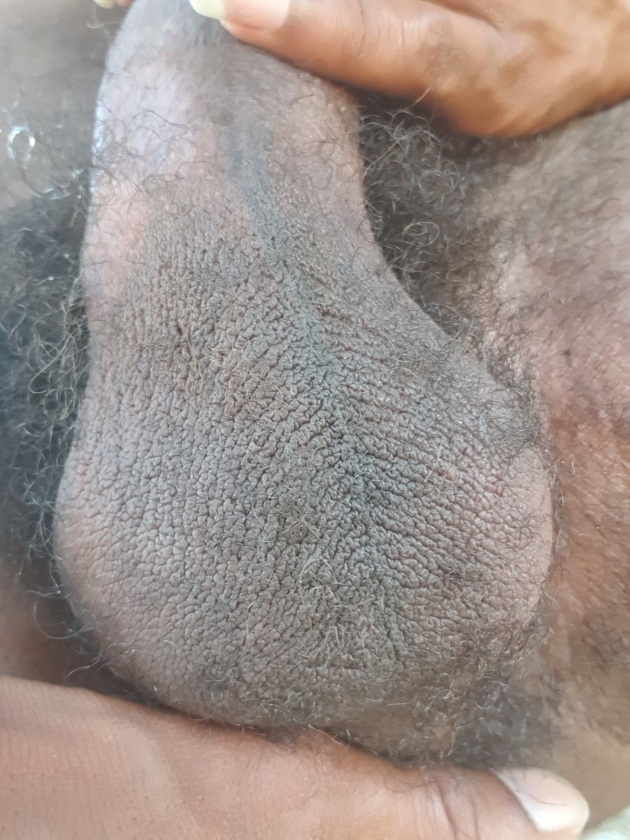 pielkomlek's tweet photo. Ko vriet eiers jw nai
#kallitpiel
#gaynai
#holnaiisleke https://t.co/eQSY3YkNpo