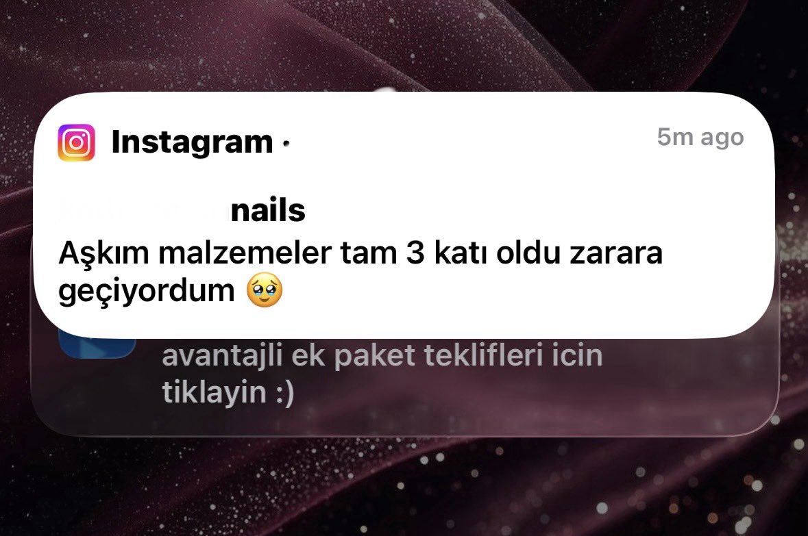 Çağla Shaykhlislamova tweet media