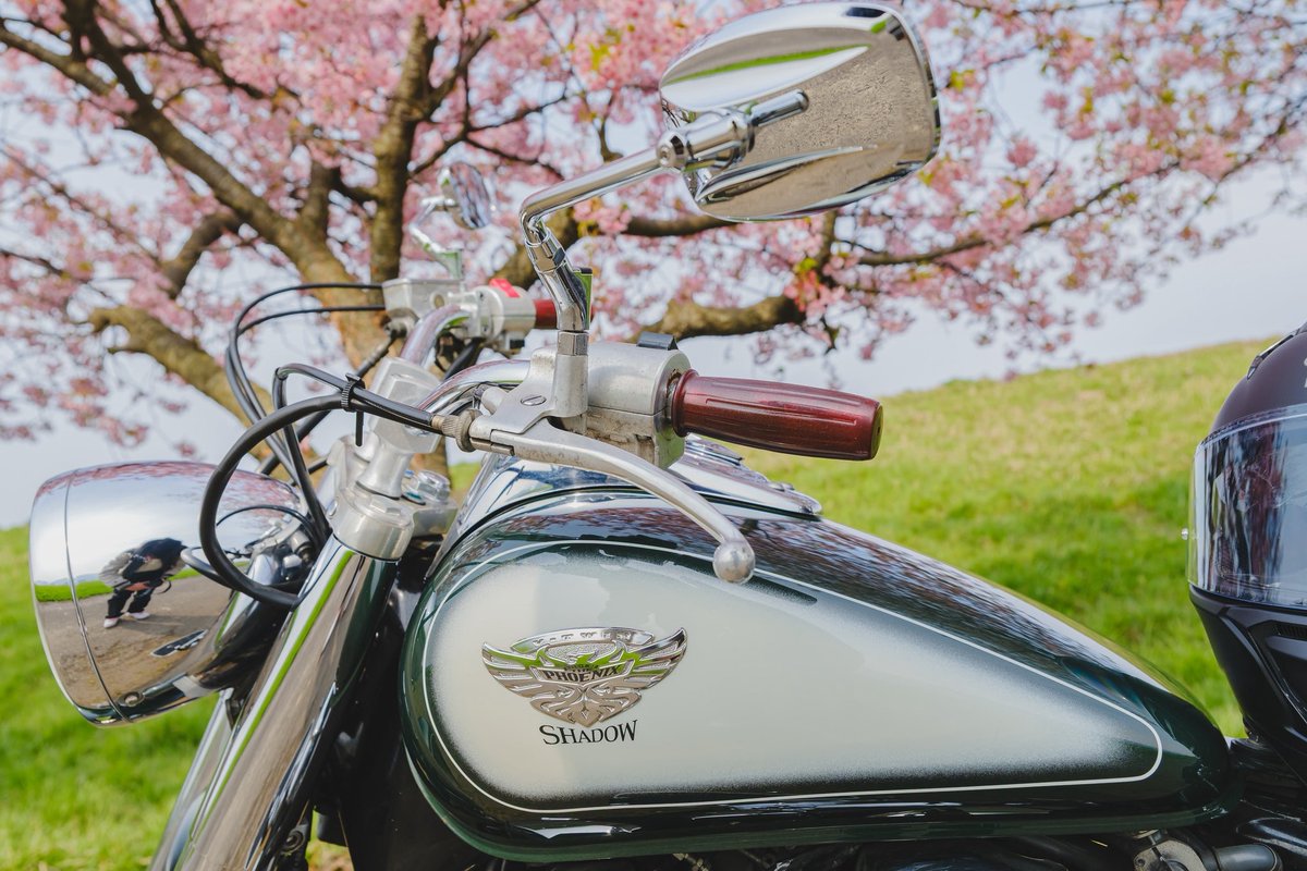 kobu0903's tweet photo. 最近のドライブ🏍
#シャドウ400
#SHADOW400
#バイク好きな人と繋がりたい https://t.co/Dmv0kwCGc0