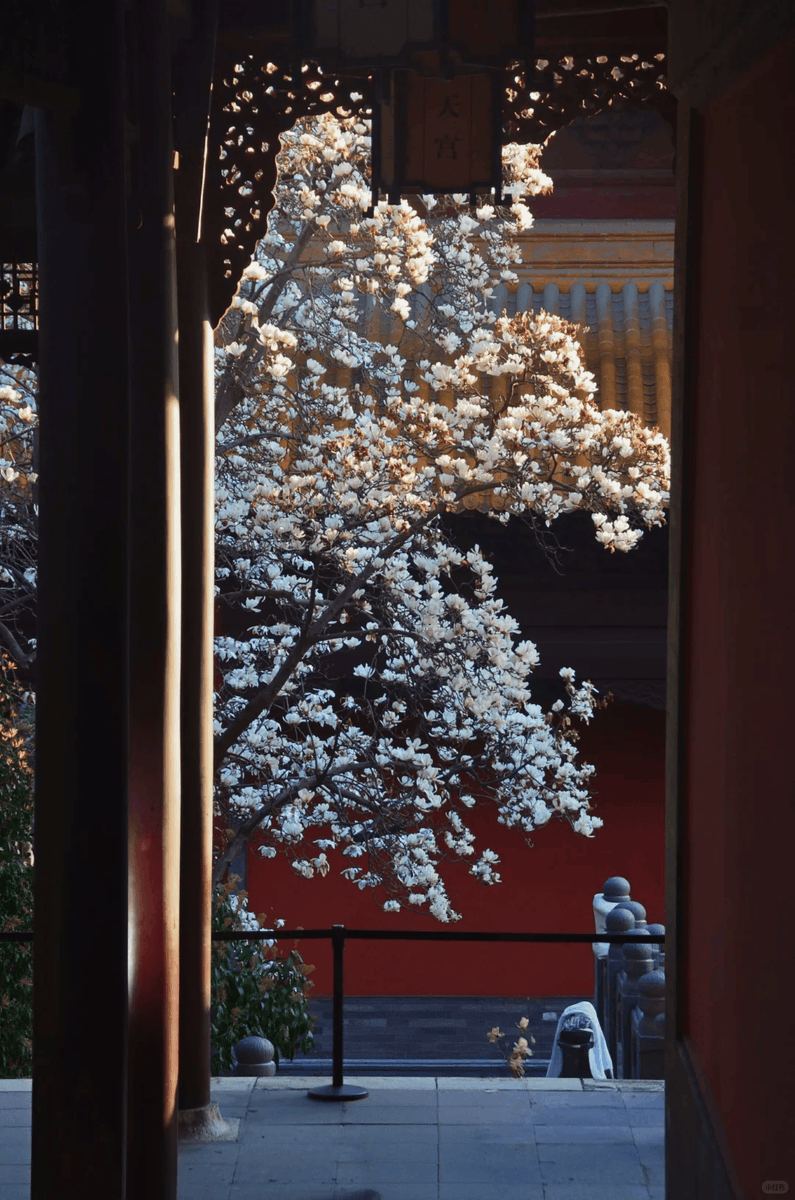 Anya Benoit tweet media