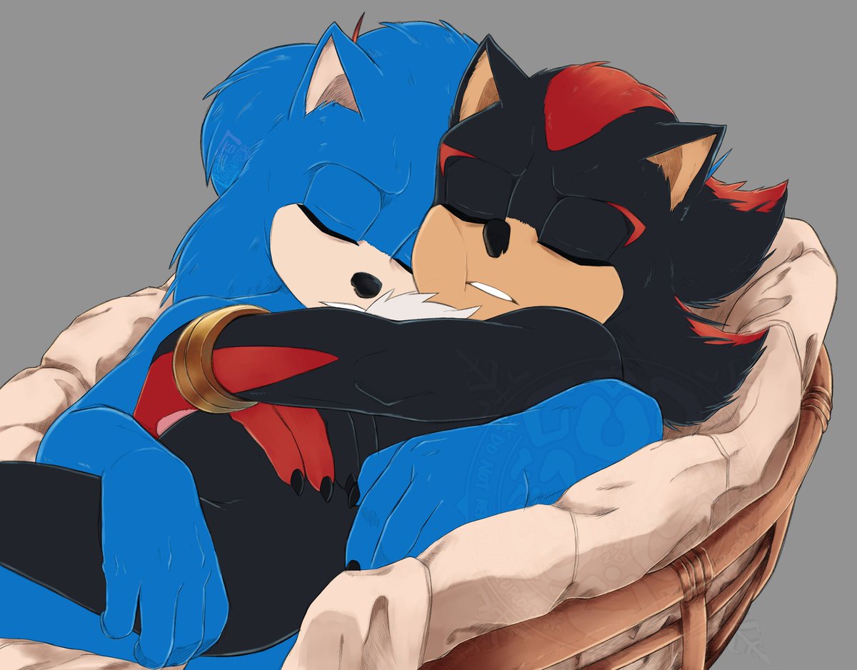 kota ❄️🐾 tweet media