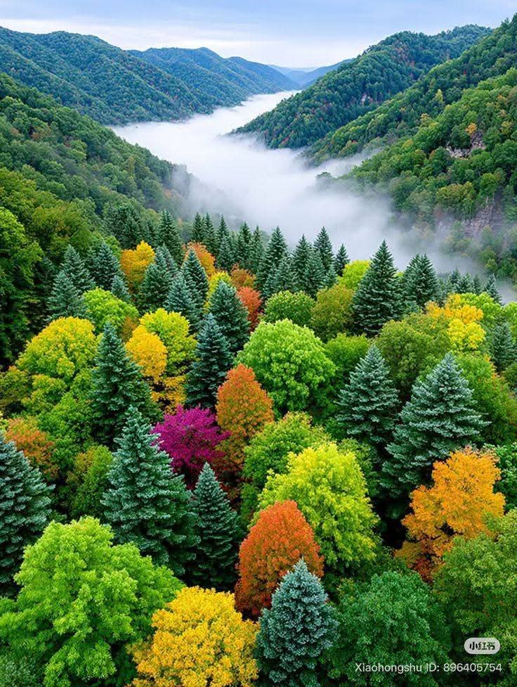 🍂David88_01🌷✨🍂David88_01🌷✨🍂 tweet media