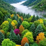 Photo by 🍂David88_01🌷✨🍂David88_01🌷✨🍂 (@David88_01)