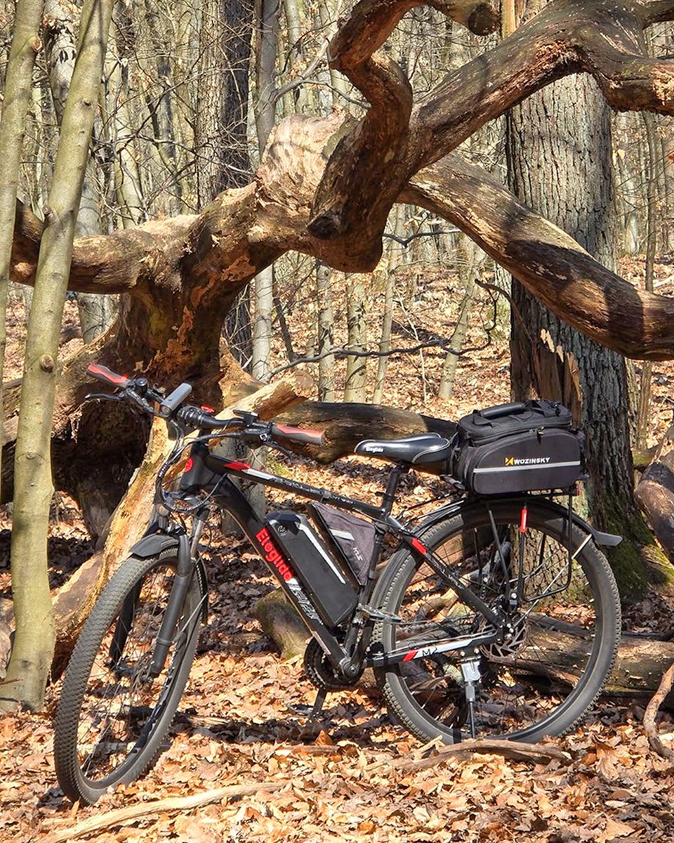 Trail days hit different with the Eleglide M2 🚲 Climb easier. Ride further. Explore more. The M2 gives you the boost to take on every trail and love every ride. 🌄

📸 by Sebastian Moraczewski

#eleglide #eleglidem2 #bikelife #cyclinglove #weekendvibes #ebike #ebikeshop #cycling