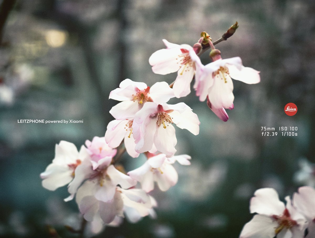 タクヲ tweet media