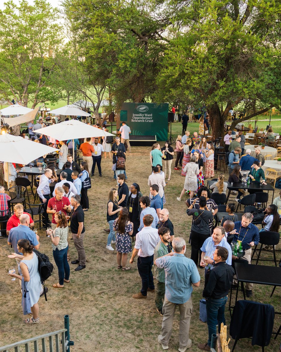 Oppenheimer Generations Research & Conservation tweet media