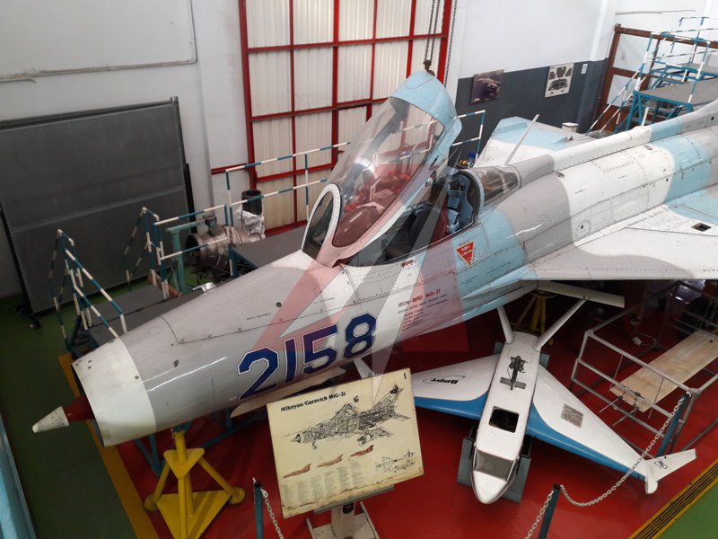 🦅 Golden Eagle 🦅 tweet media