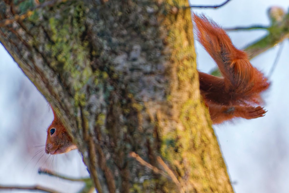 Quint&Quer tweet media