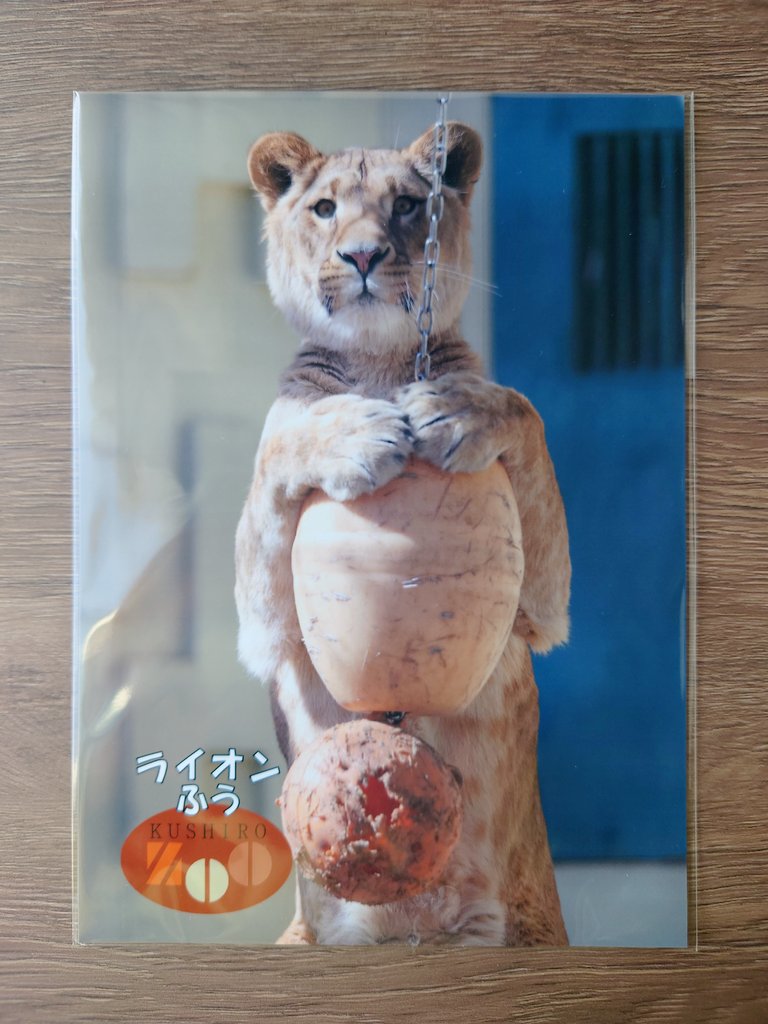 ☆こさる☆ tweet media