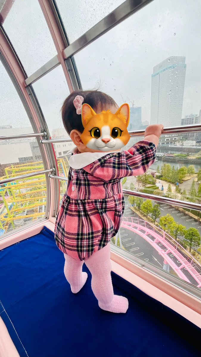 ねこころね(nekocorone)帰国しました tweet media