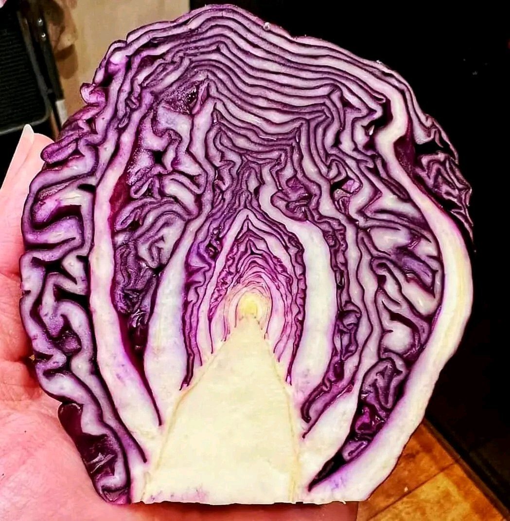 Ramin Nasibov tweet media