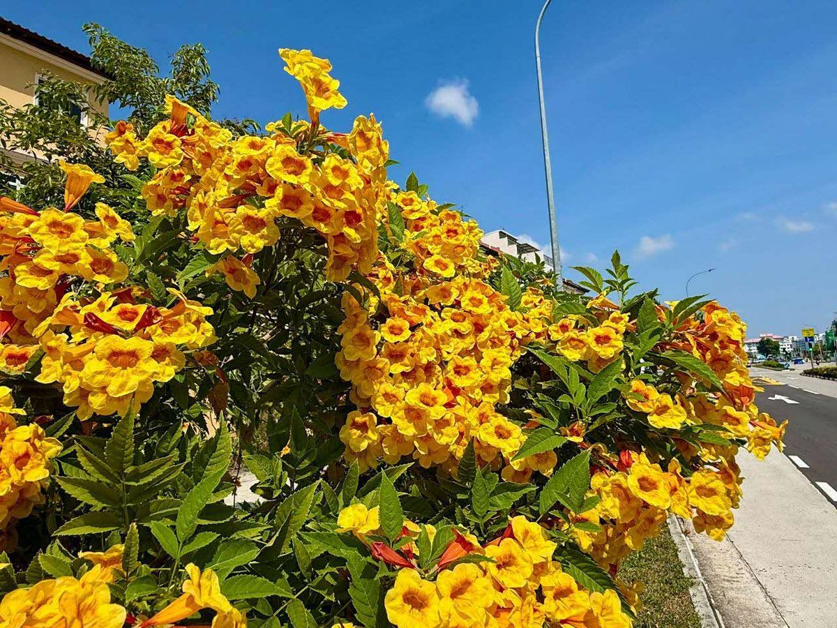 National Parks Board tweet media