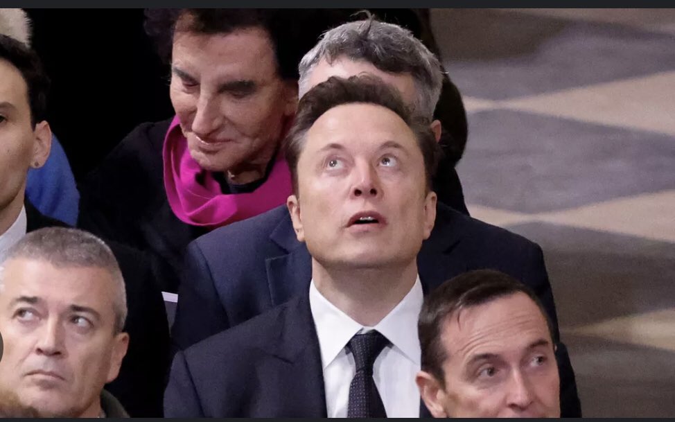 🇨🇵Nathalie Delalande🌿 tweet media