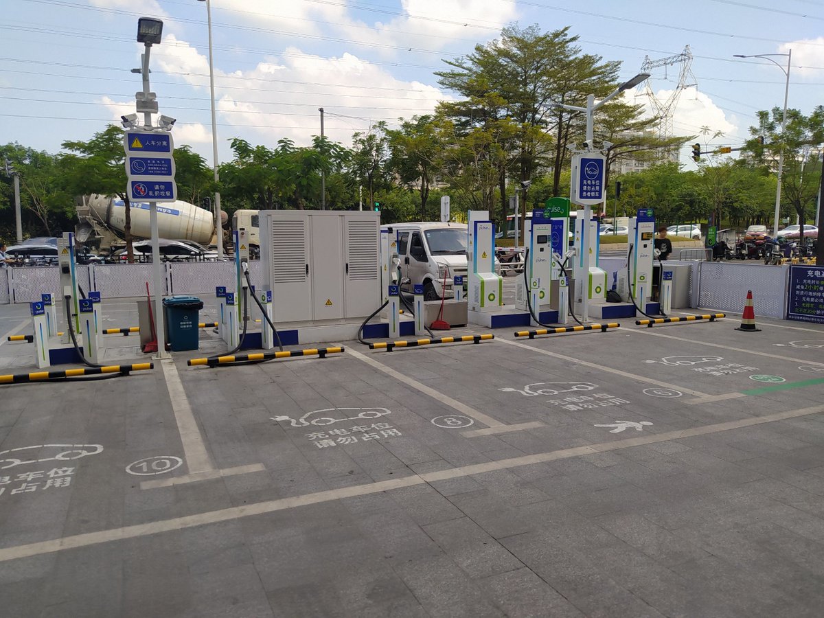 Salvatore Papale tweet media