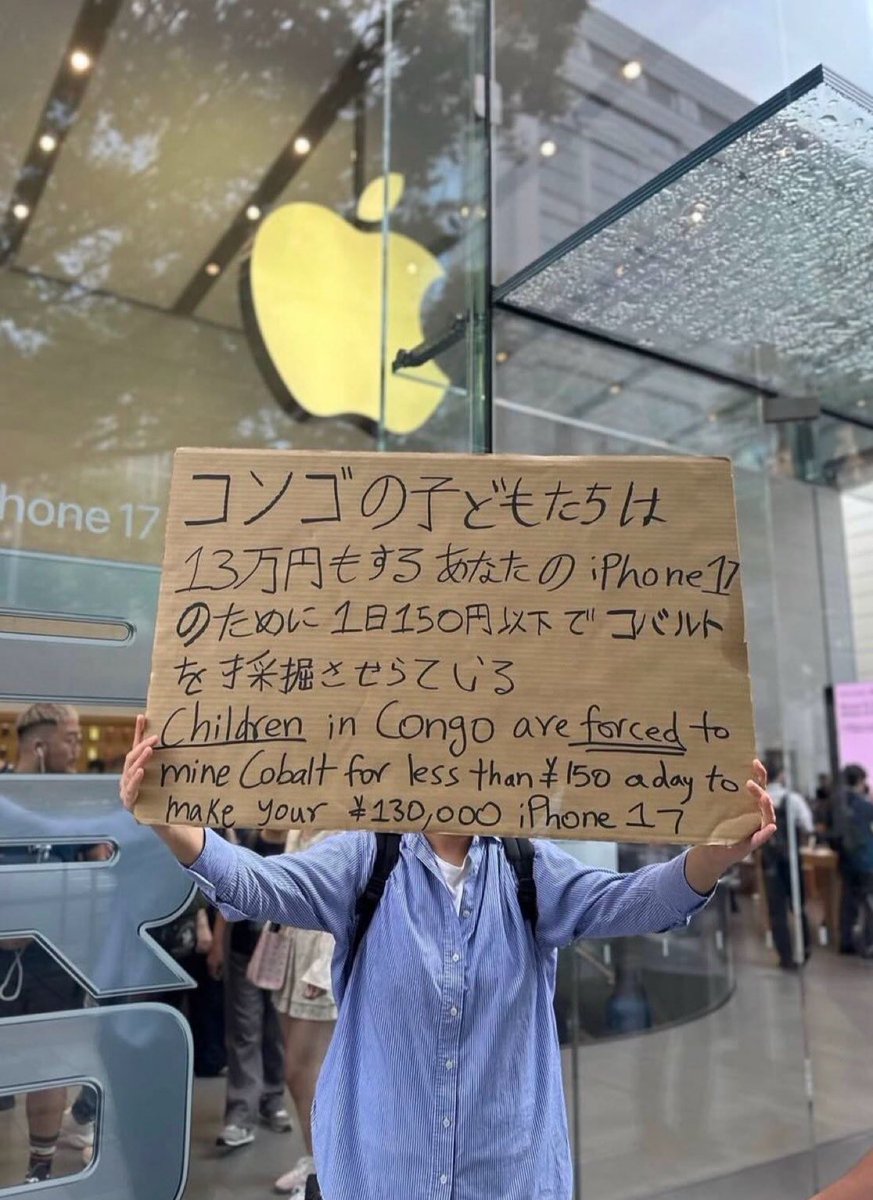 ずっと見ていたい動画 tweet media