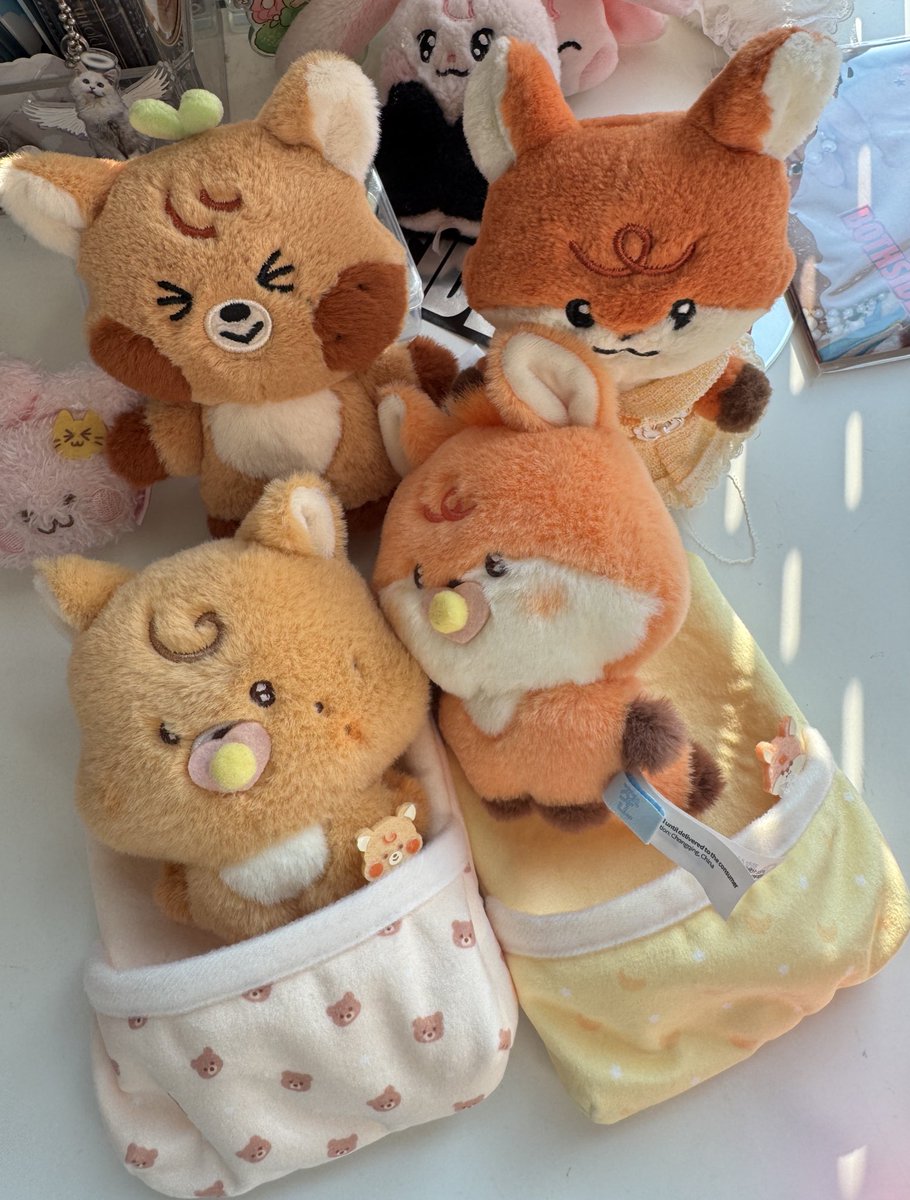 사모예드૮₍.◜𖥦◝₎ა 「 NCT JNJM 23 Feb 🐶★★ 🐰6️⃣5️⃣ 」 tweet media