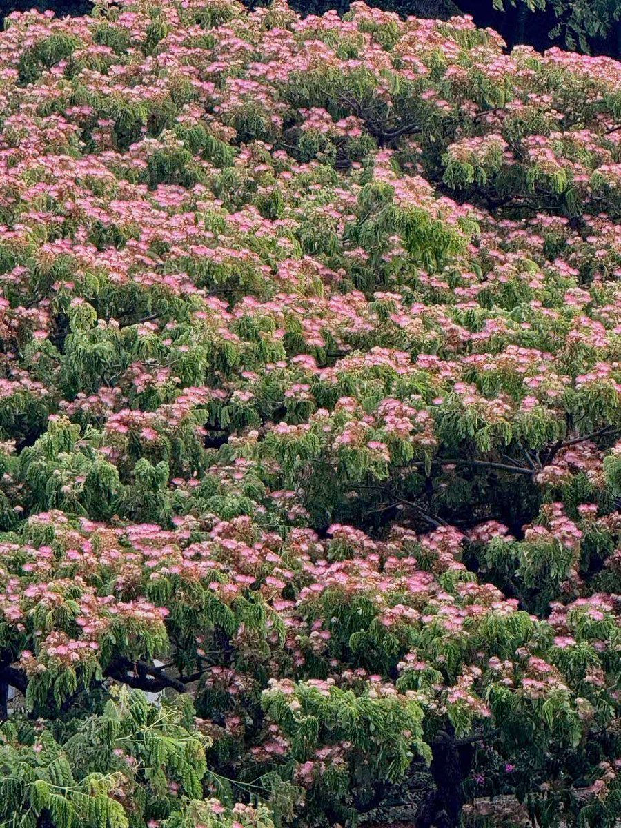 National Parks Board tweet media