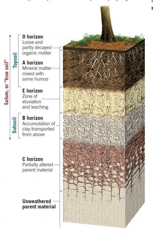 Simon Kuestenmacher tweet media