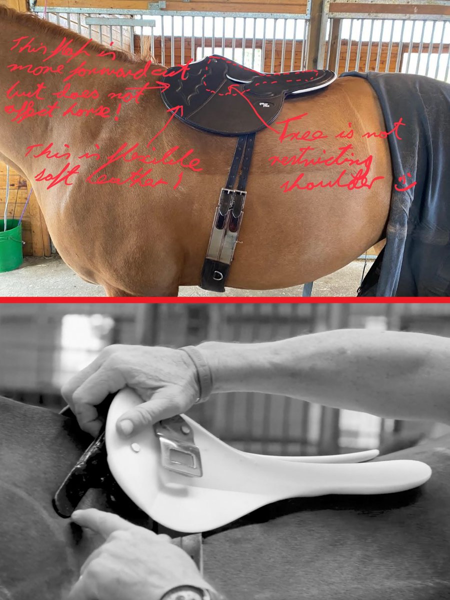 StrideFree® Racing tweet media