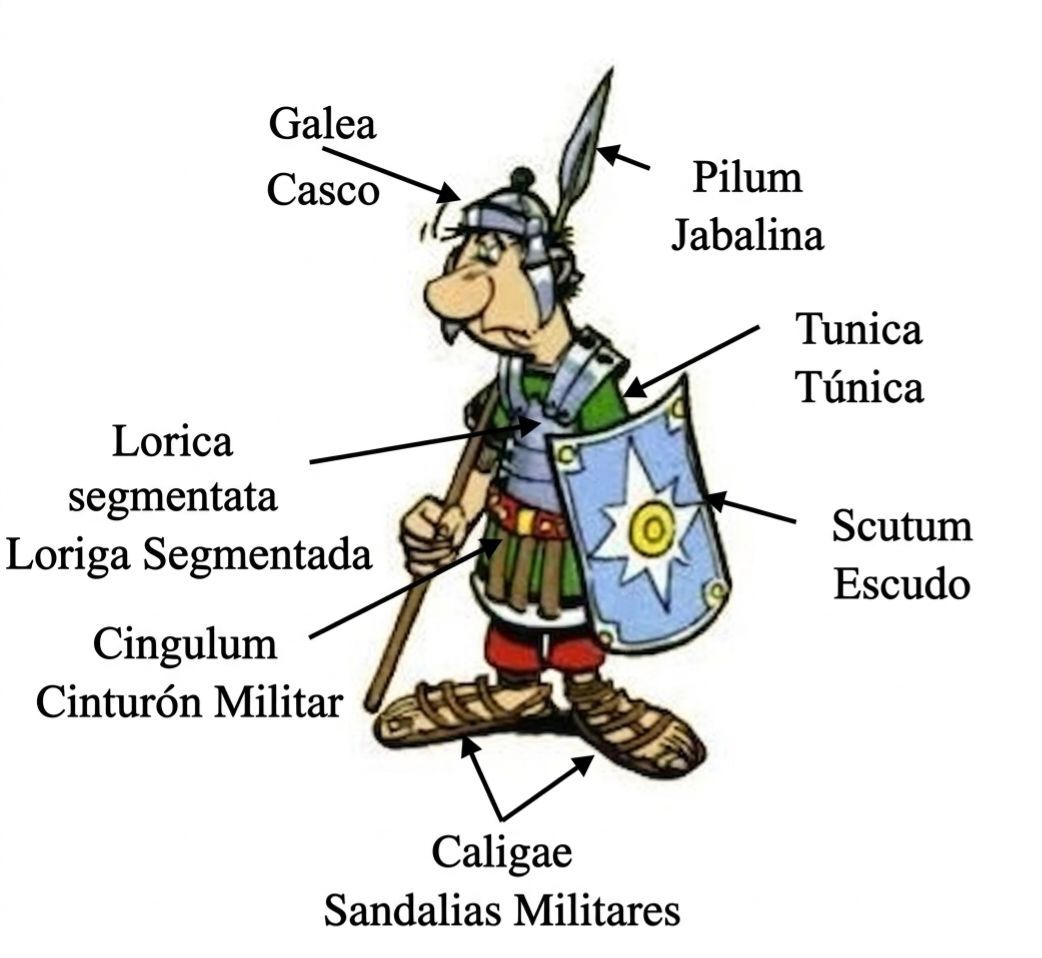 Obélix 2.0 🐗 tweet media