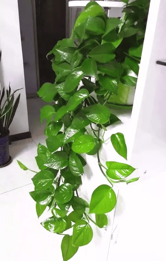 boulhic olivier tweet media