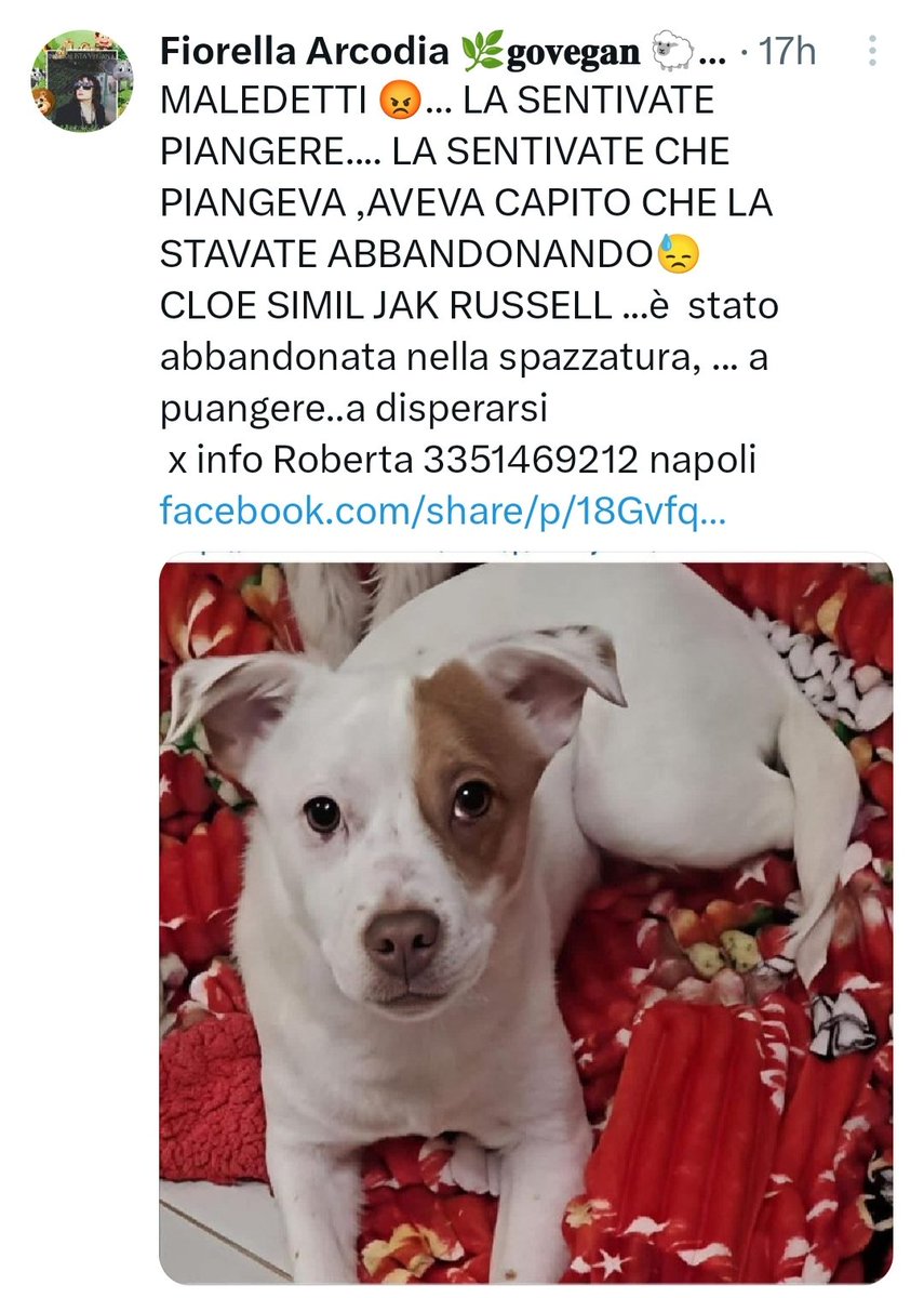 giuseppe esposito tweet media