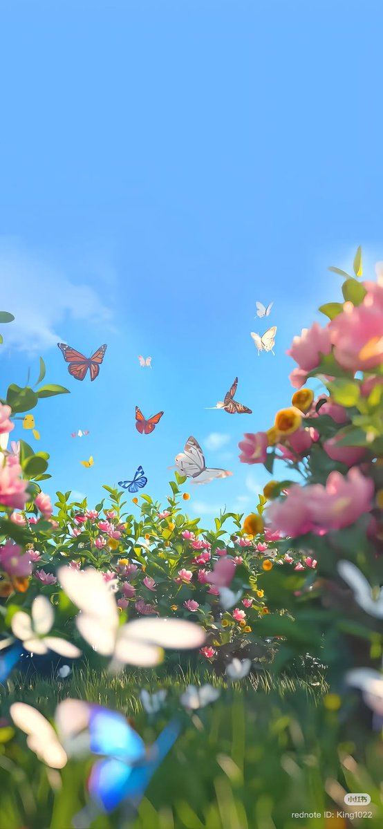 আল-ইমরান tweet media