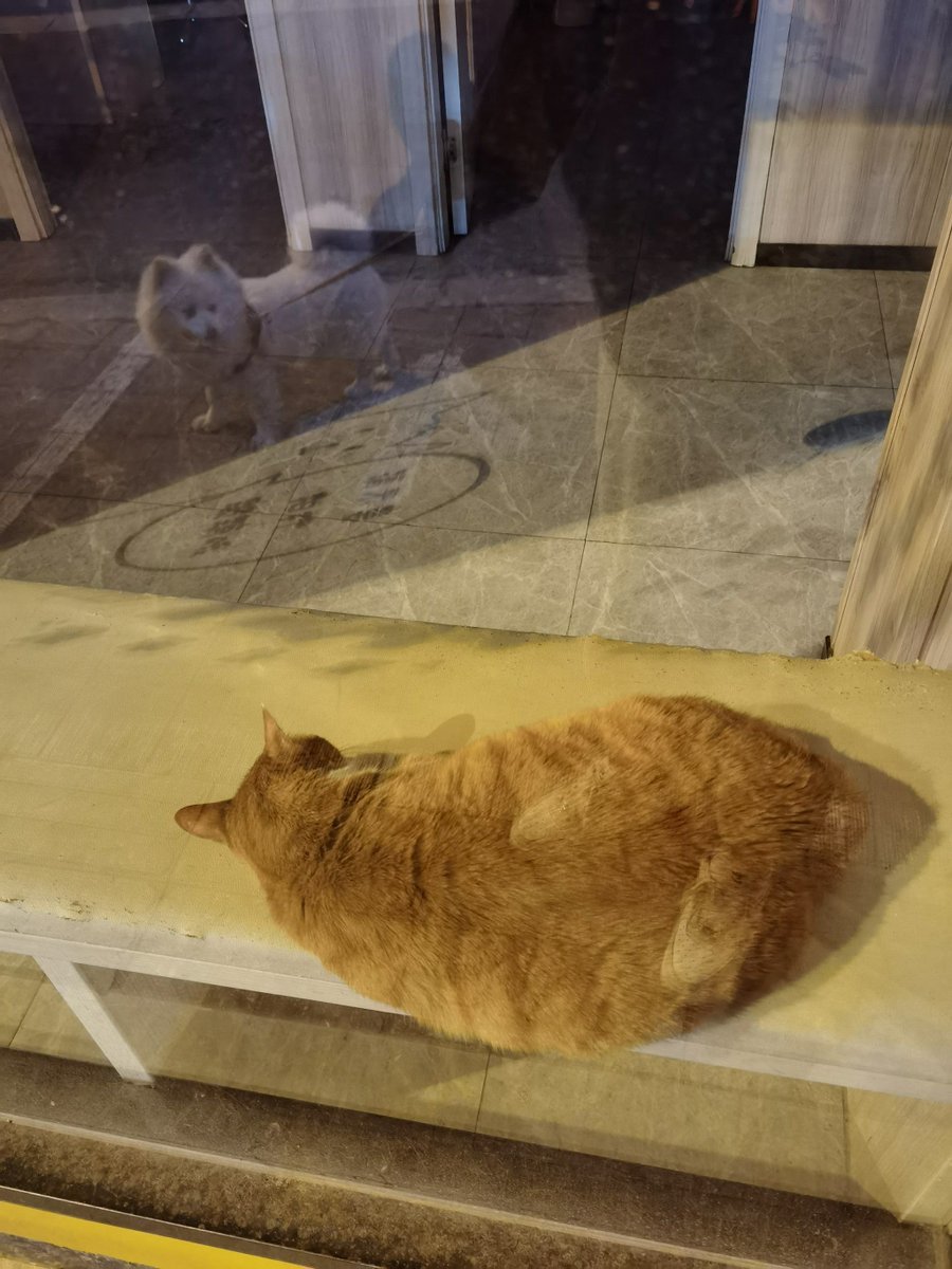 Törökbálint LASE tweet media