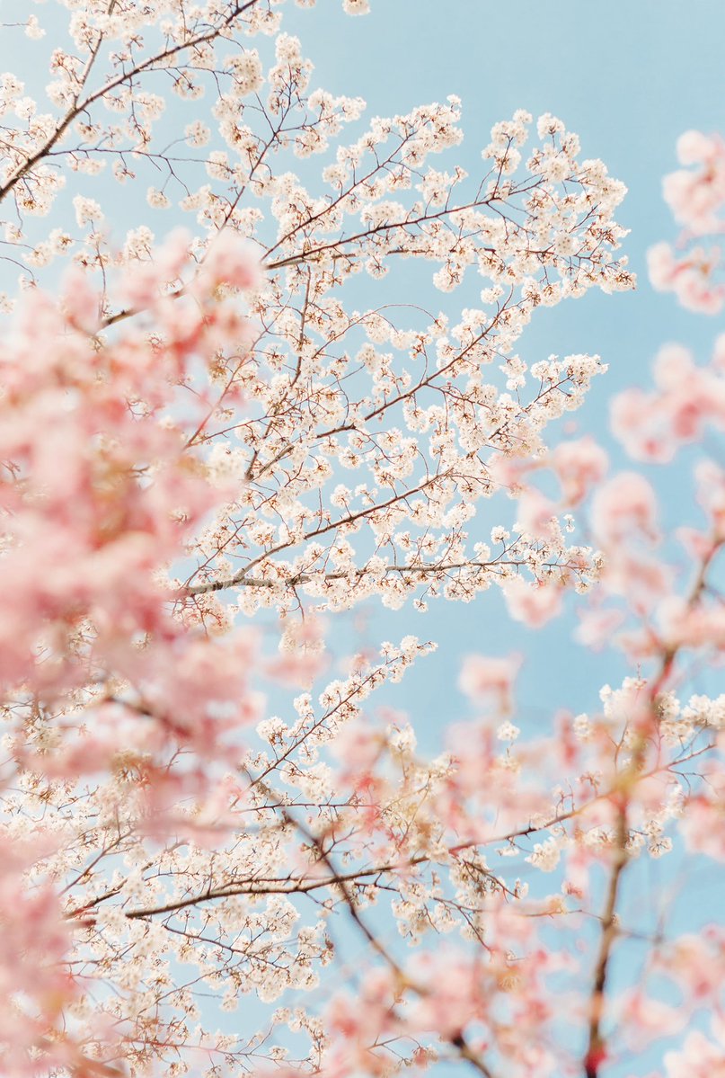 木佐貫直人/art6d tweet media