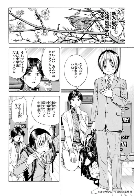 桜が咲く季節…
ヒカルはプロ棋士として歩き始める!

『ヒカルの碁』13巻 第105話より🌸
#さくらの日 