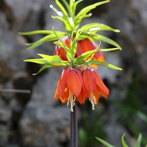 Boşuna Tıklama tweet media