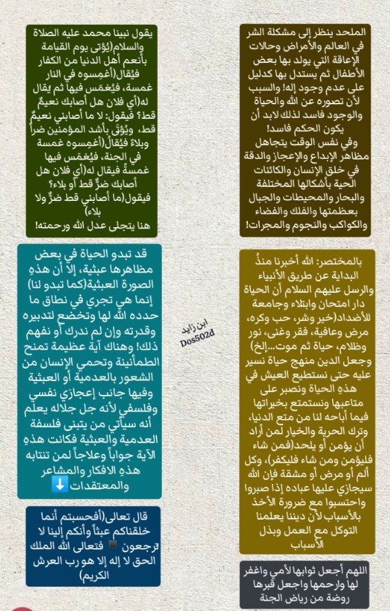 ابن زايد tweet media