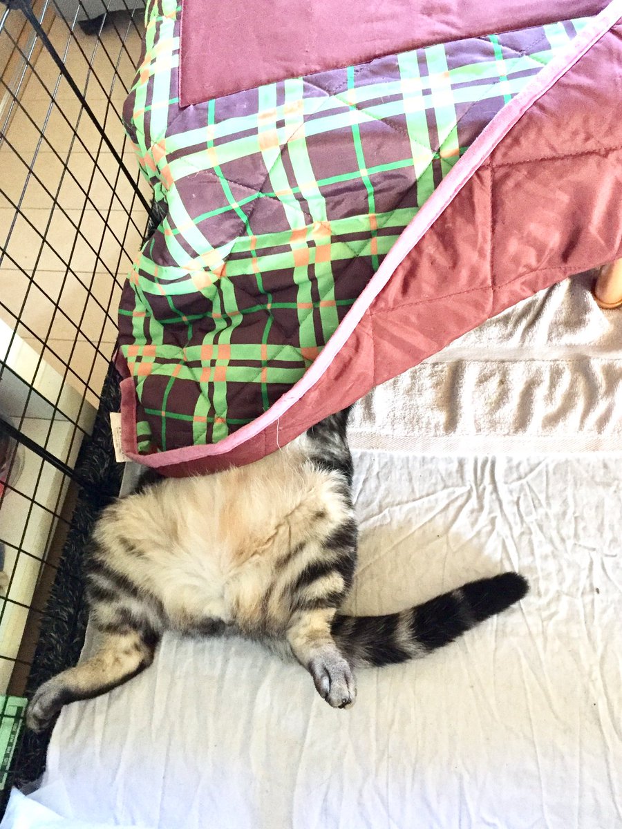 房之助&拓郎ママ tweet media