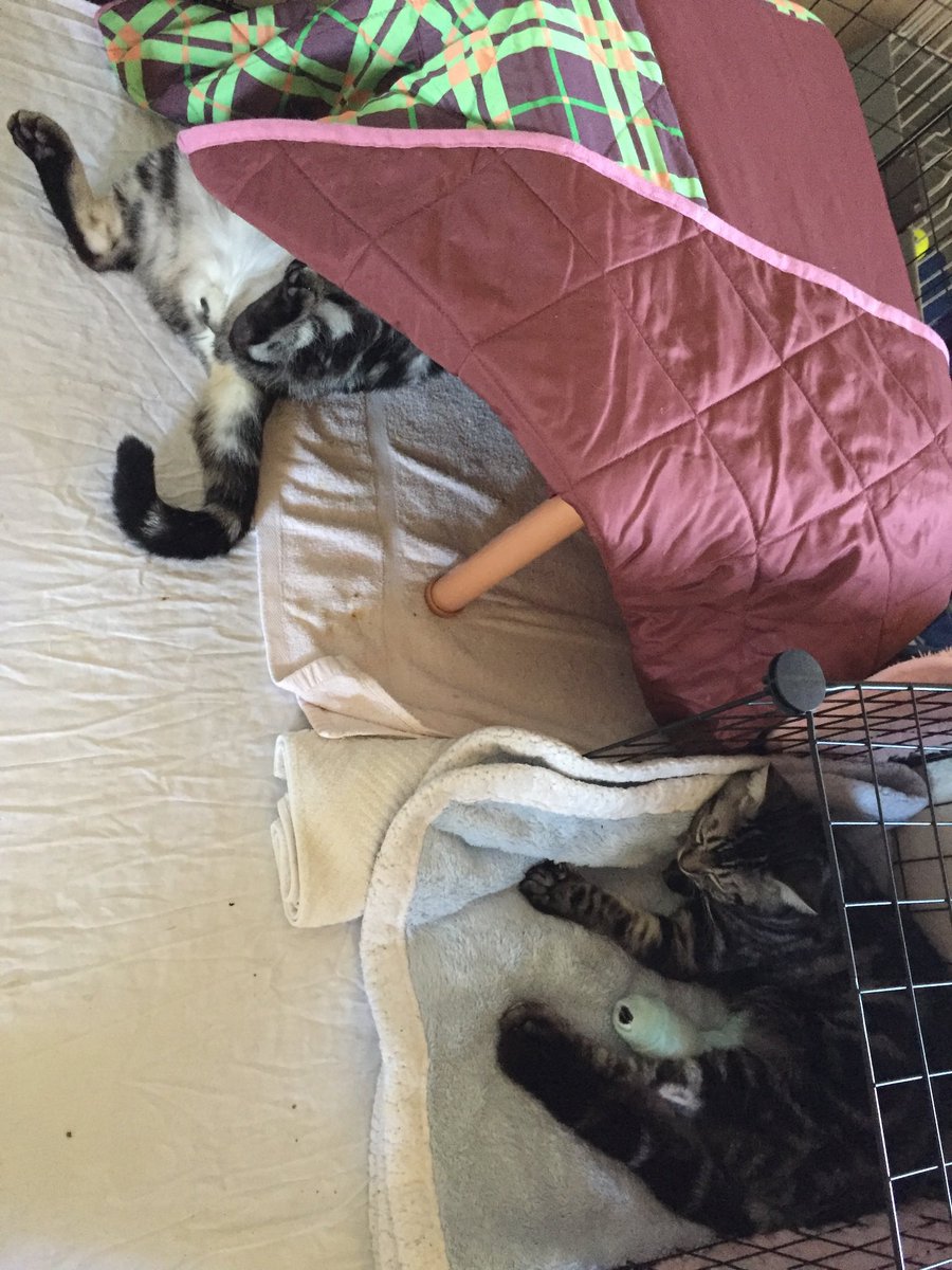 房之助&拓郎ママ tweet media