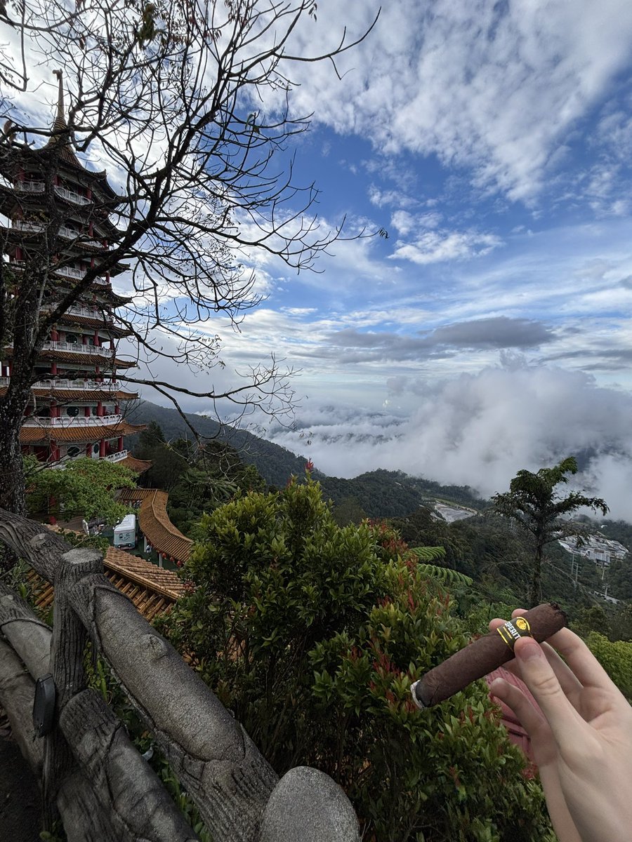 Sn!per🃏 tweet media