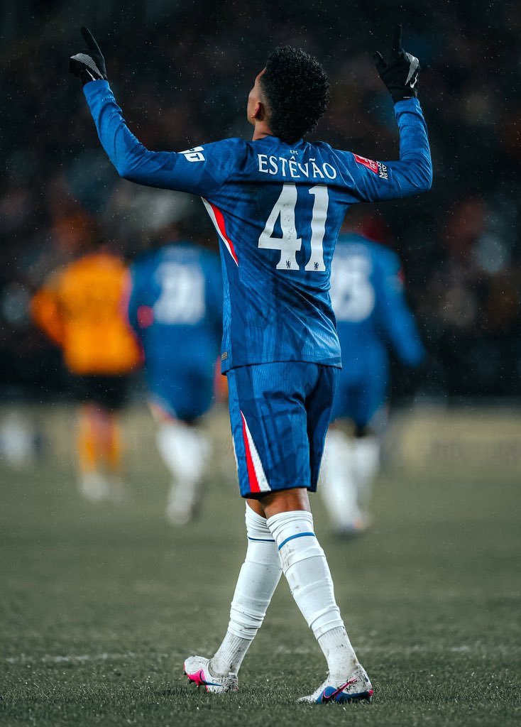 Steva 🇧🇷 tweet media