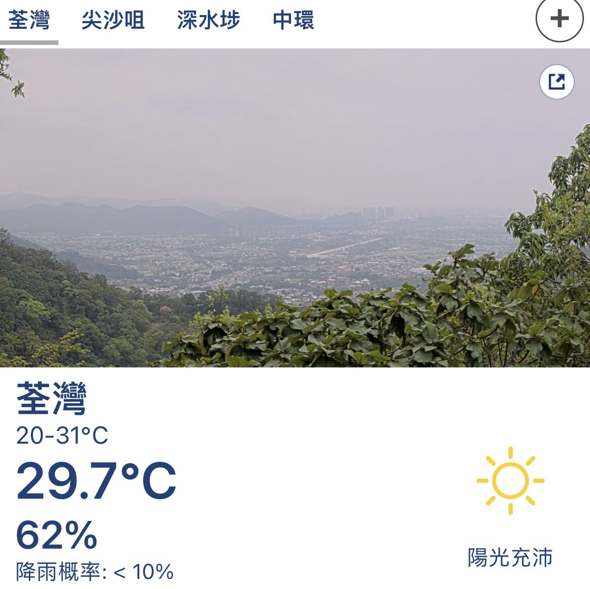 芹菜蝦仁仁菜！ tweet media