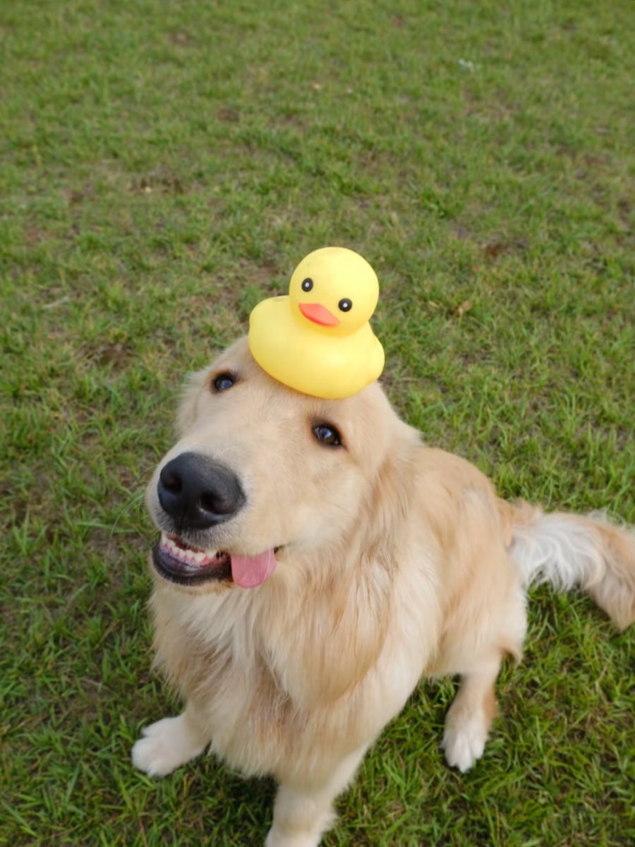 Балашова Наталья tweet media