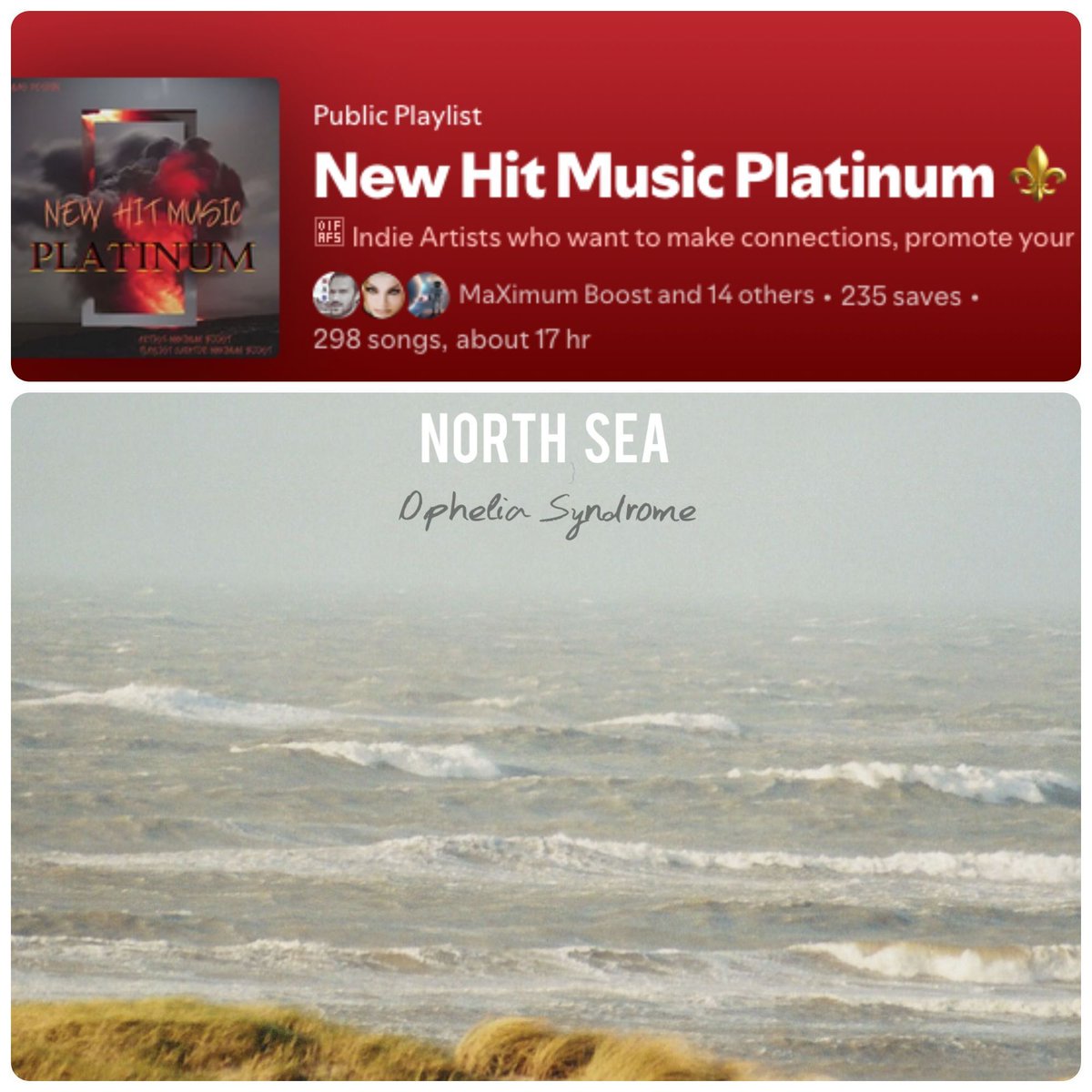 ⬡ Ophelia Syndrome ⬡ tweet media