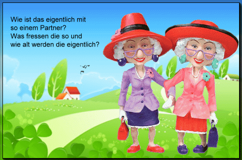 Sunflower tweet media