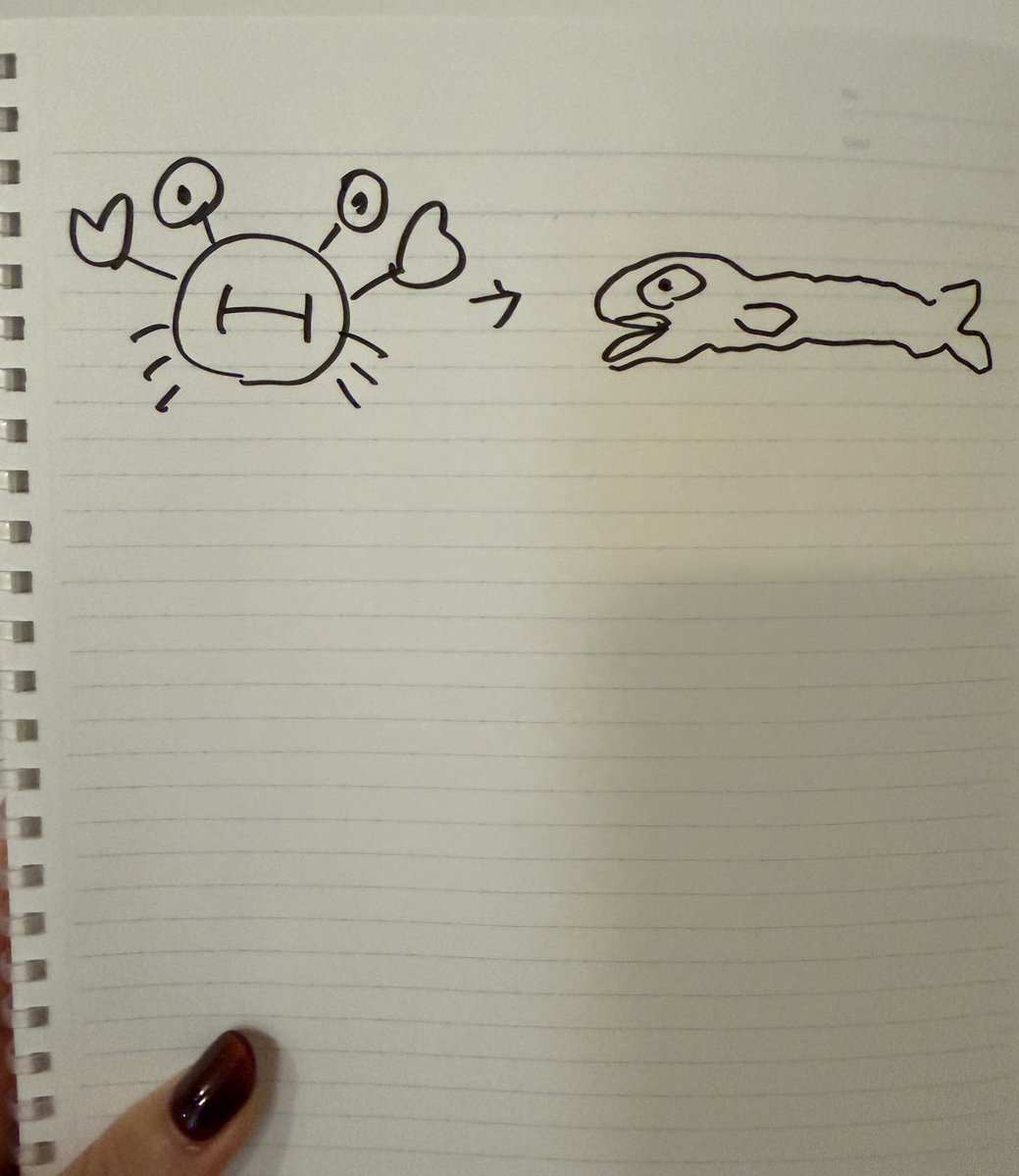 P丸様。🐣🍳 tweet media