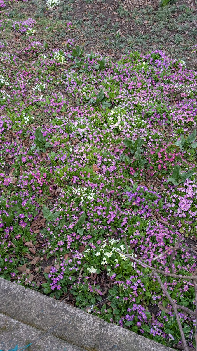 MurDzhi2 tweet media