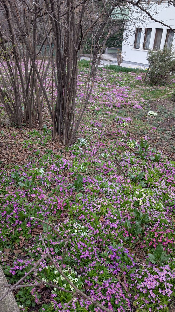 MurDzhi2 tweet media