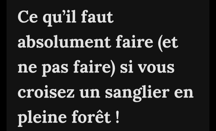 Leglo0Ô0o tweet media